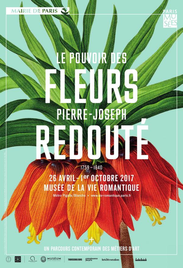 Dessin autour des fleurs