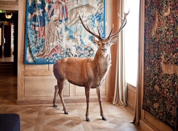 Musée de la Chasse et de la Nature