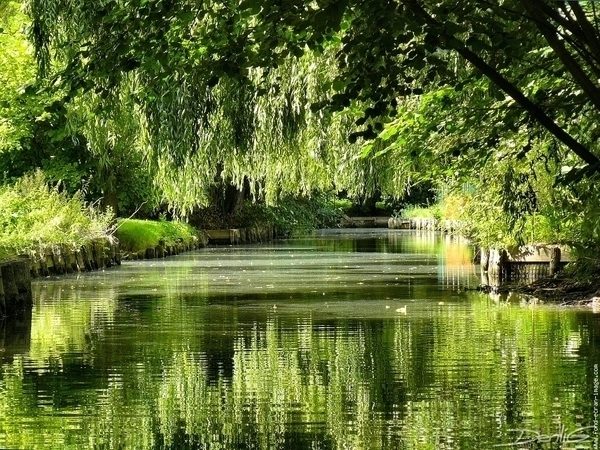 Les Hortillonnages d'Amiens en barque