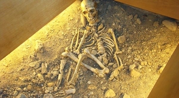 Musée de l'Homme de Néandertal
