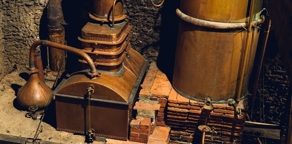 Le Domaine d’Ognoas