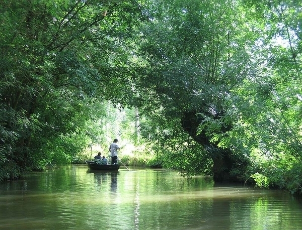 Découverte du marais poitevin