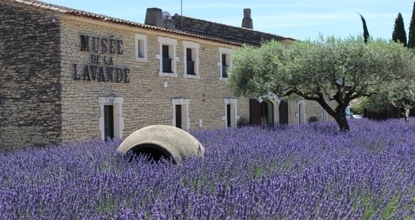 Musée de la lavande Lubéron
