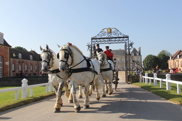 Le Haras National du Pin