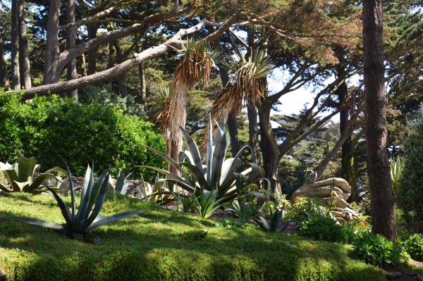 Jardin Georges Delaselle