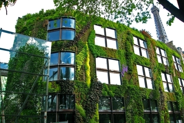 Découverte du Musée du Quai Branly