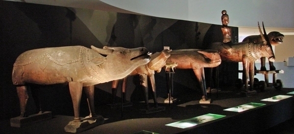 La piste des animaux