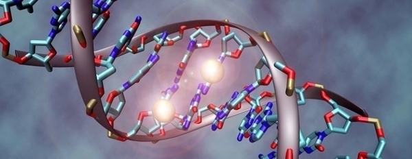 Les outils de modification du génome