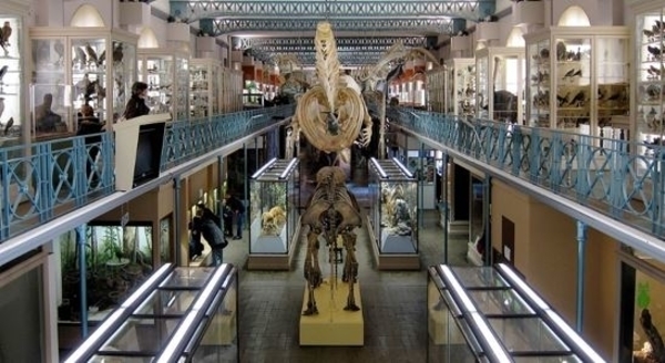 Musée d'Histoire Naturelle de Lille