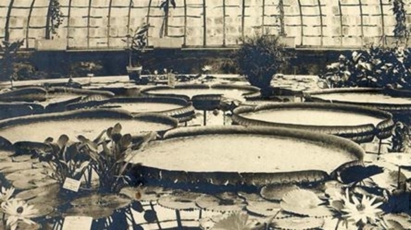 Les Jardins des Plantes et des Chartreux