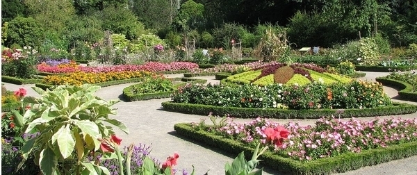 A la découverte du jardin botanique
