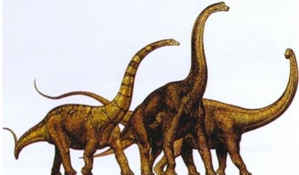 Dinosaures de Normandie