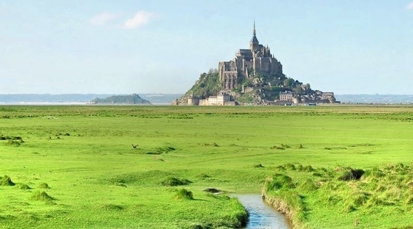 Découverte des prés salés de la Baie du Mont Saint-Michel