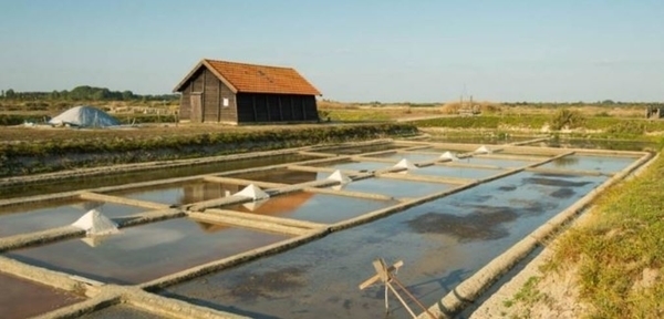 Marais salants de la Vie
