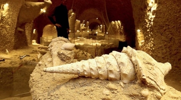 La Cave aux Coquillages