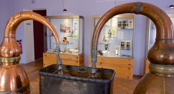 Musée International de La Parfumerie