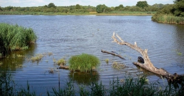 Découverte de la Réserve Naturelle Régionale Terres et étangs de Brenne Massé – Foucault
