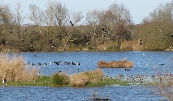 Découverte de la Réserve Naturelle Nationale de Chérine