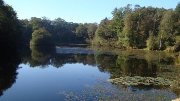 Centre de Découverte de la Forêt et du Bocage
