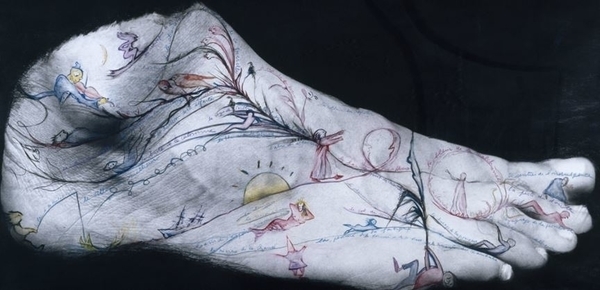 FRAC-Artothèque du Limousin, collections et expositions