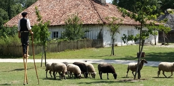 Écomusée de Marquèze