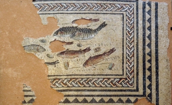 MuséAL, le musée