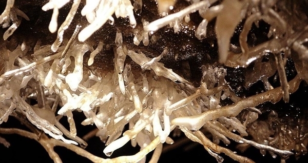 Grottes de Maxange