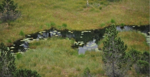 Réserve Naturelle du Luitel
