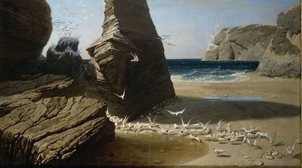 Musée des Beaux-Arts de Rennes - Conférences