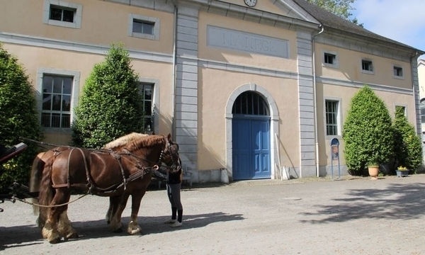 Haras de Tarbes