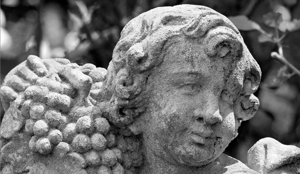 Provins, ville de Foire Médiévale