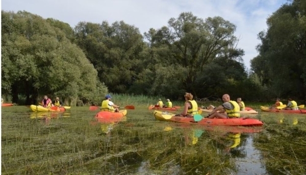 Balade Kayak dans la forêt immergée