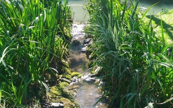 Moulin de Janlard