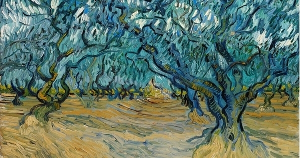 Fondation Vincent Van Gogh