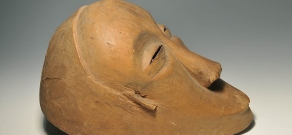 Muséum d'histoire naturelle du Havre (7-10 ans)