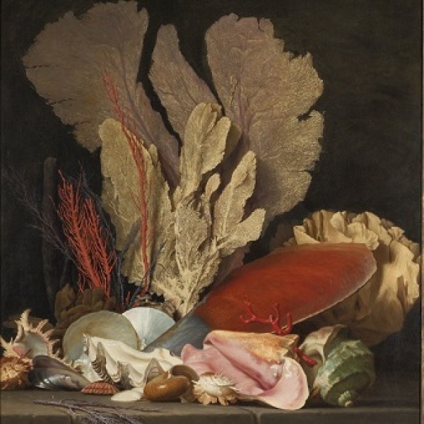 Musée de poche (9-12 ans)