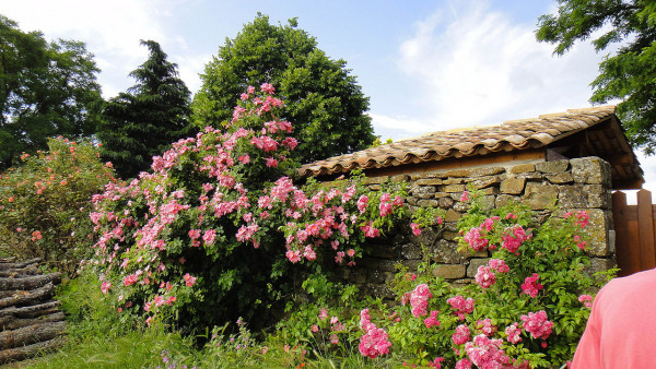Jardin de l'abbaye de Valsainte