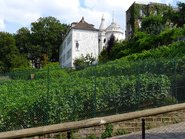 Cités d'artistes, jardins, moulins et vigne de Montmartre