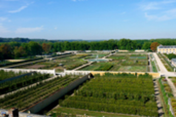 Le parc de Versailles et le Potager du Roi