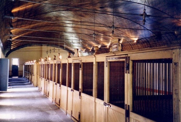 Haras de Tarbes