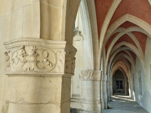 Visite du jardin du Palais Ducal