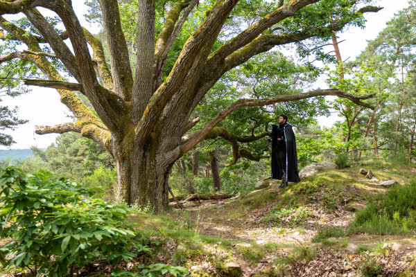Les mystères de la forêt de Fontainebleau