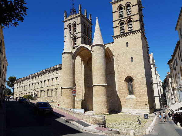 Montpellier autrement : Art, Artisanat, Patrimoine & Goût