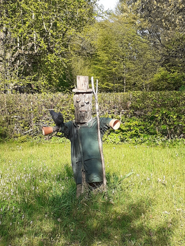 Le Jardin des Plantes : quand la science explore la nature