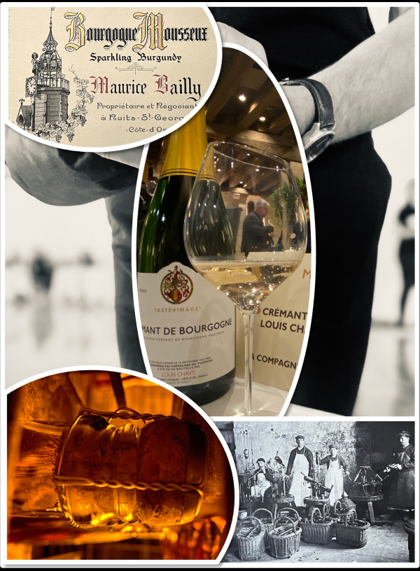 Immersion gustative dans le monde des crémant de Bourgogne et d’ailleurs !