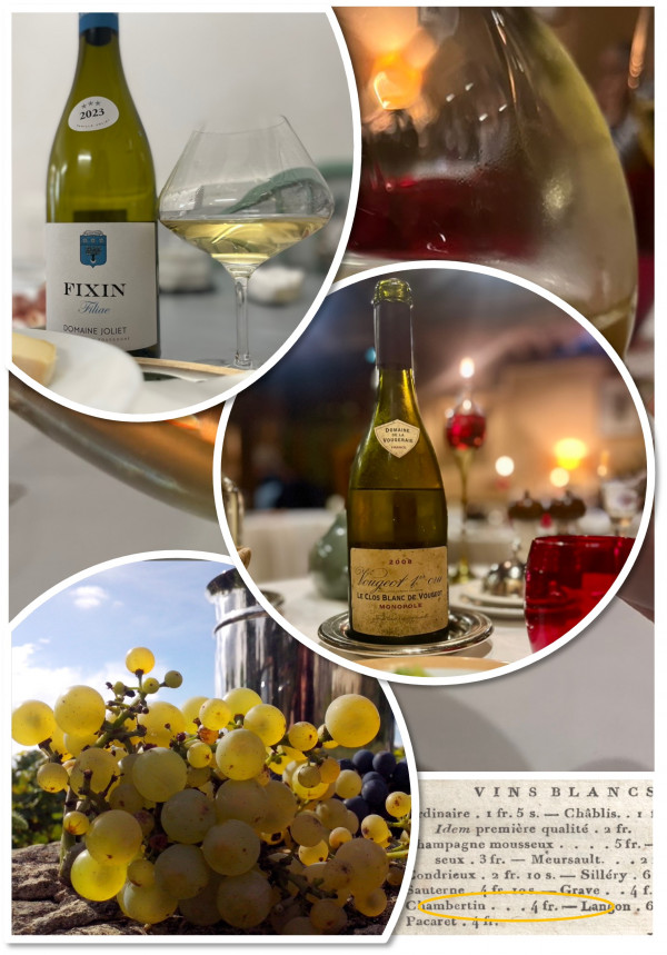 Atelier oenohistorique : Les vins blancs, une exception en côte de nuits