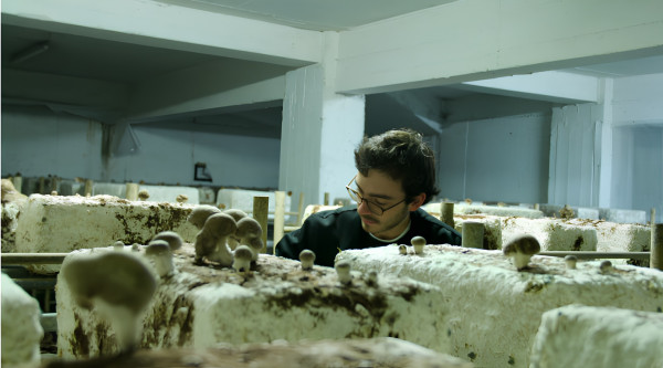 Une ferme urbaine bio dans les souterrains de Paris