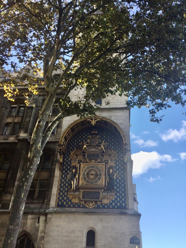 La Parigi medievale : l'Ile de la Cité e la Riva sinistra